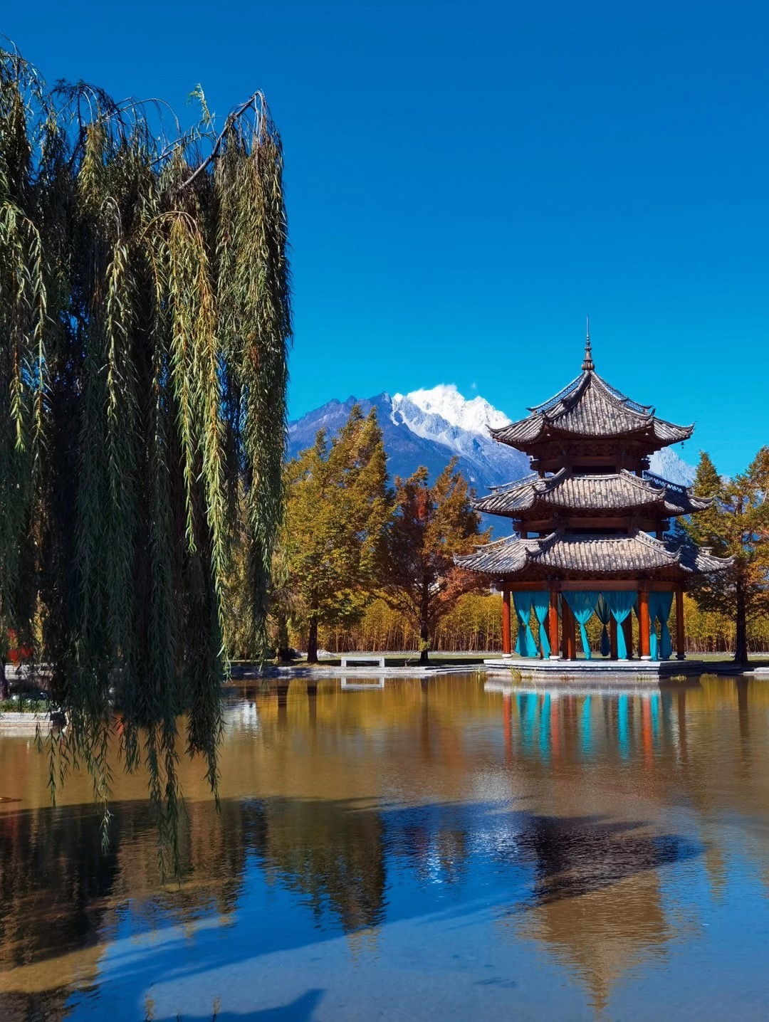 丽江黑龙潭公园