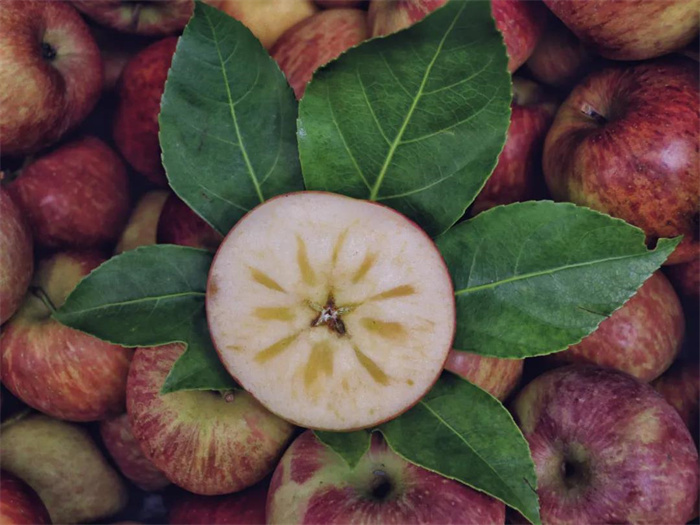 丽江旅游攻略：汪曾祺力荐的“人间烟火气”，藏在丽江这一个个地方