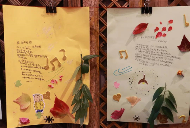 来丽江古城宣科书房，体验一天宣科先生的生活！