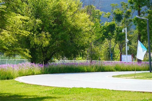 云南旅游,云南旅行社,云南团建公司,云南策划公司,云南会议会展公司,云南活动执行公司,丽江旅游 ,丽江旅行社,丽江团建公司,丽江策划公司,丽江会议执行公司：20度的丽江，藏着夏日的清凉密码