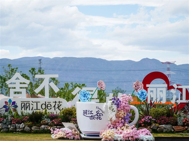 云南旅游,云南旅行社,云南团建公司,云南策划公司,云南会议会展公司,丽江旅游,丽江旅行社,丽江团建公司,丽江策划公司：爱上丽江的理由，从一朵花开始