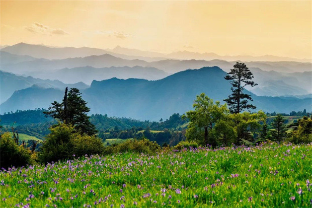 云南旅游,云南旅行社,云南团建公司,云南策划公司,云南会议会展,云南策划执行,丽江旅游,丽江旅行社,丽江团建公司,丽江策划公司：七月格拉丹，云海之外许你一片浪漫鸢尾