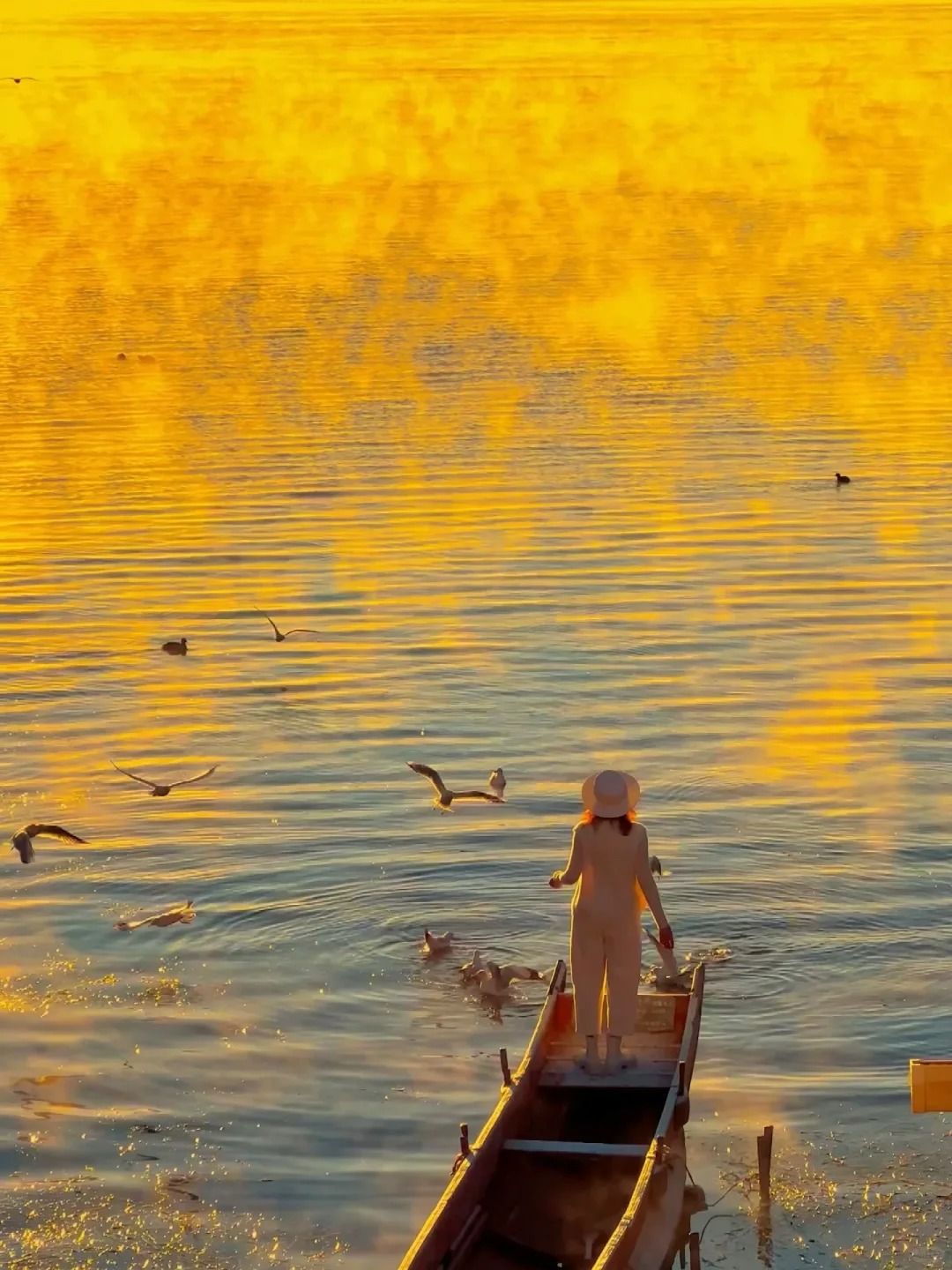 云南旅游,云南旅行社,云南团建公司,云南策划公司,云南会议会展,云南旅游地接,丽江旅游,丽江旅行社,丽江团建公司,丽江策划公司,丽江会议会展,丽江策划执行：大实话！秋天的泸沽湖才是人间理想…