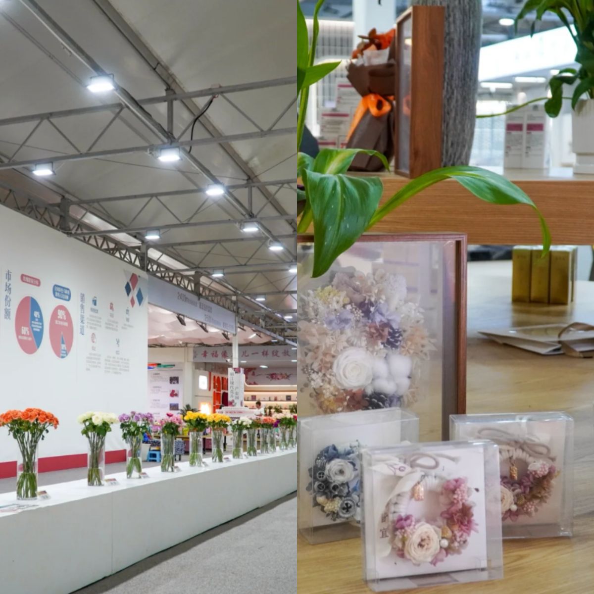 云南旅游,云南旅行社,云南团建公司,云南策划公司,云南会议会展,丽江旅行社,丽江团建公司,丽江策划公司,丽江会议会展,丽江策划执行：走进“丽江de花”，与“中国最好的玫瑰”’共赴一场浪漫至极