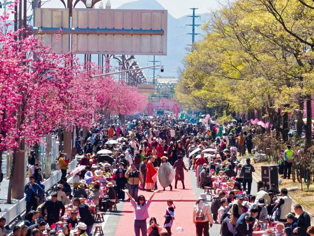 以节为媒促交融：2026年丽江“三多节”暨“和和美美”特色文化季启幕