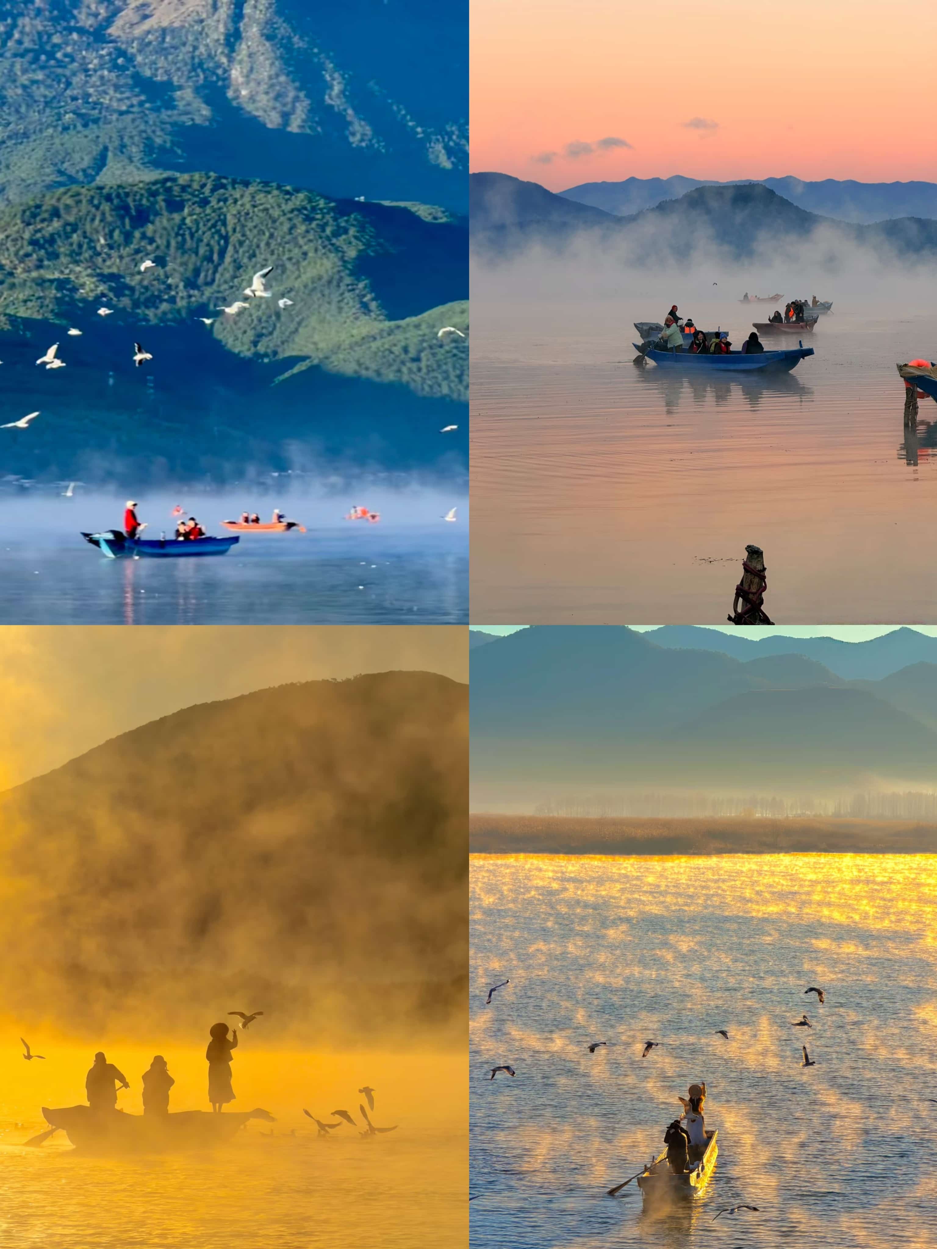 丽江四季全攻略｜团建/旅游闭眼冲