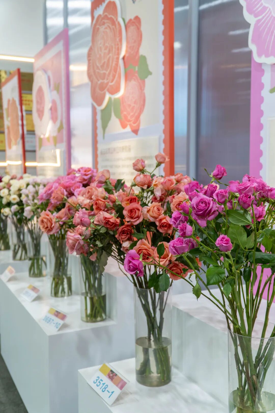 追风、逐花、见山水｜来丽江现代花卉产业园赴一场研学之旅