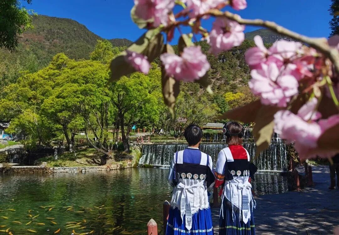 云南旅游,云南旅行社,云南团建公司,云南策划公司,云南会议会展,云南旅游地接,丽江旅游,丽江旅行社,丽江团建公司,丽江策划公司,丽江会议会展,丽江策划执行：边玩边学！“五一”研学游，丽江这些宝藏研学点推介给大家